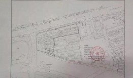 盐城金鹰爆料最新消息,揭秘神秘项目背后的惊人真相