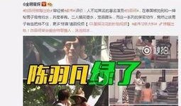 歌手爆料出轨视频大全集,歌手爆料视频大全集揭秘